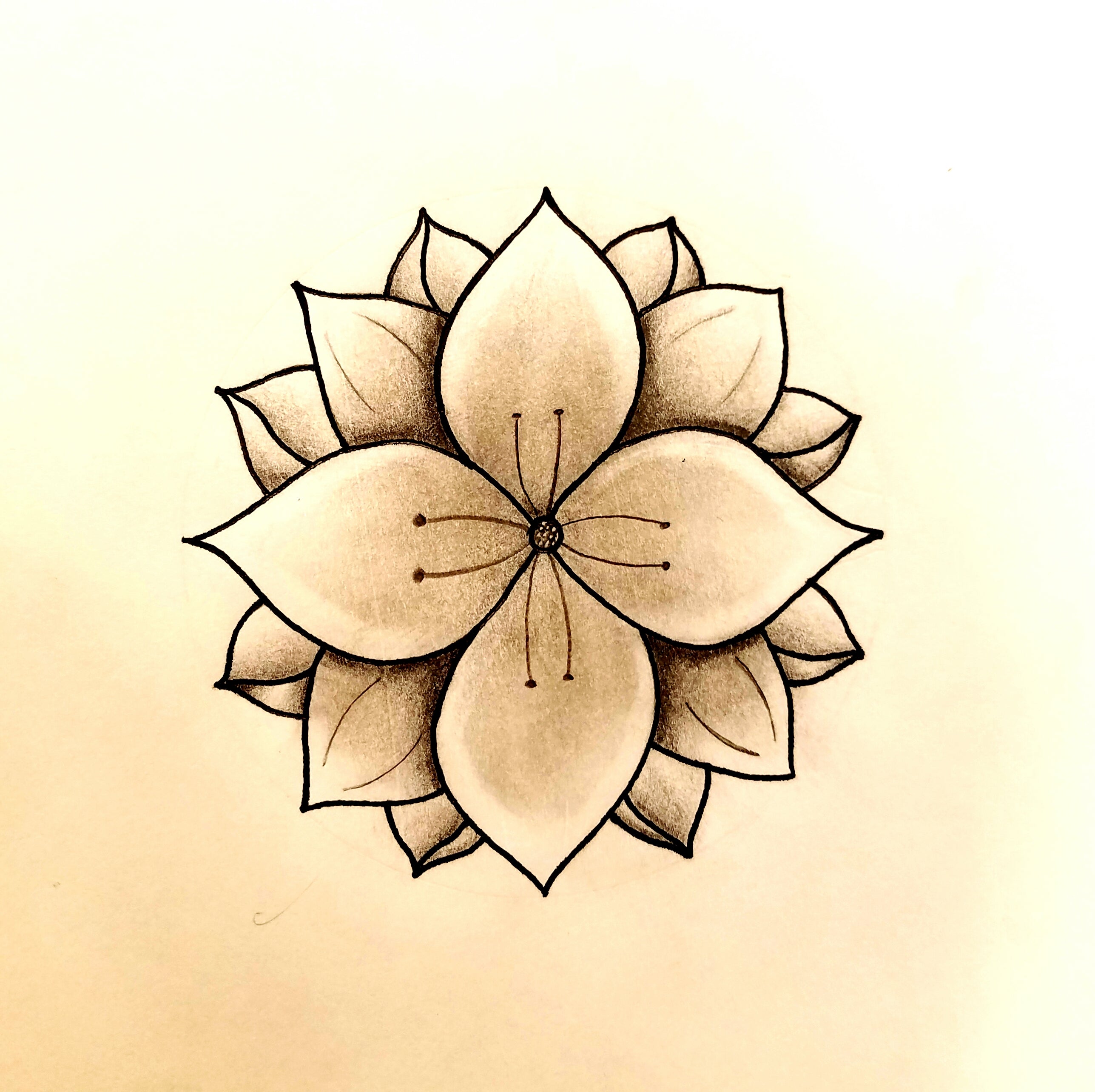 Elegant Lotus Flower | Minimalist Black & White Botanical Drawing